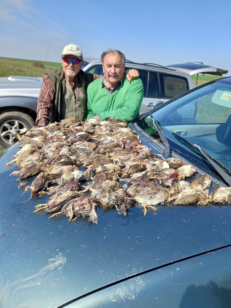 AlbaClub caccia in Romania beccaccia oche anatre tortore quaglie allodole mista stanziale