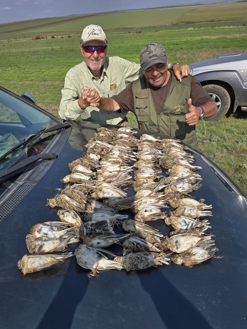 AlbaClub caccia in Romania beccaccia oche anatre tortore quaglie allodole mista stanziale